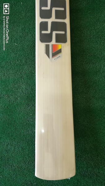 SS Flame Cricket Bat
