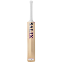 6. Salix AIR Back .webp
