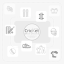 SS Flame Cricket Bat