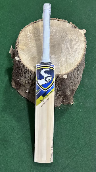 SG Ishan Kishan Players Cricket Bat